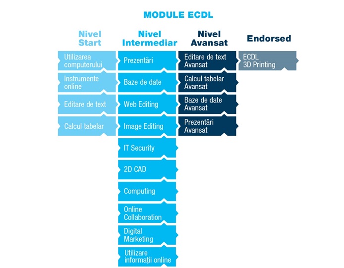 module ecdl1